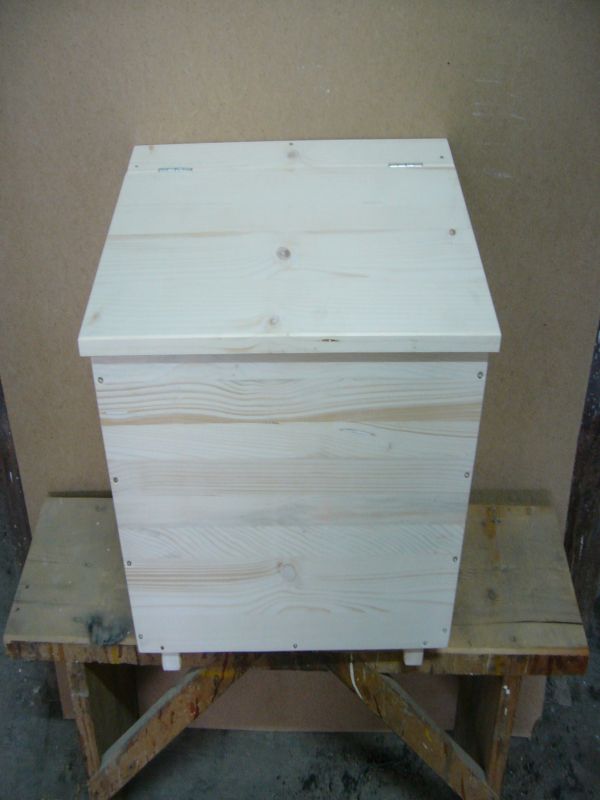 nolii 041.jpg